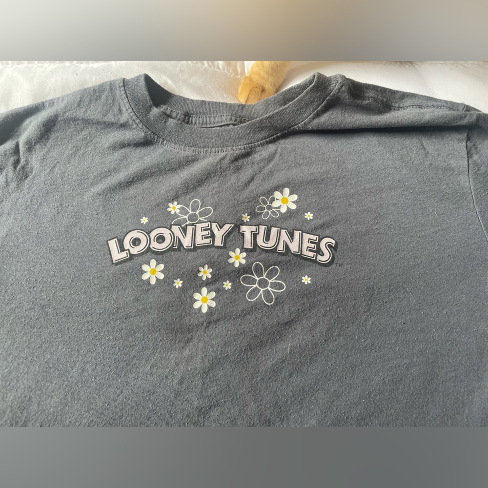 Looney tones t shirt for those looney tones fans!
